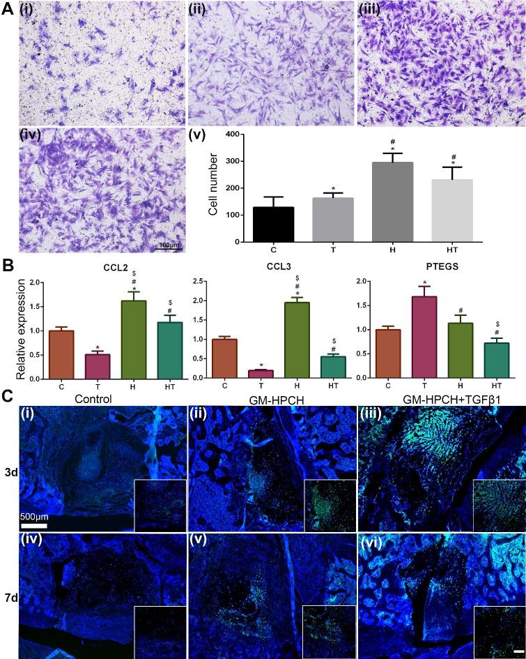 https://cdn.ncbi.nlm.nih.gov/pmc/blobs/2f9b/7052899/56968587e808/thnov10p2872g007.jpg