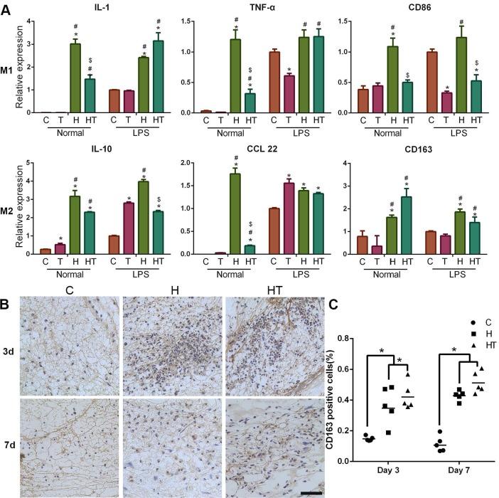 https://cdn.ncbi.nlm.nih.gov/pmc/blobs/2f9b/7052899/7b87e2859b95/thnov10p2872g006.jpg