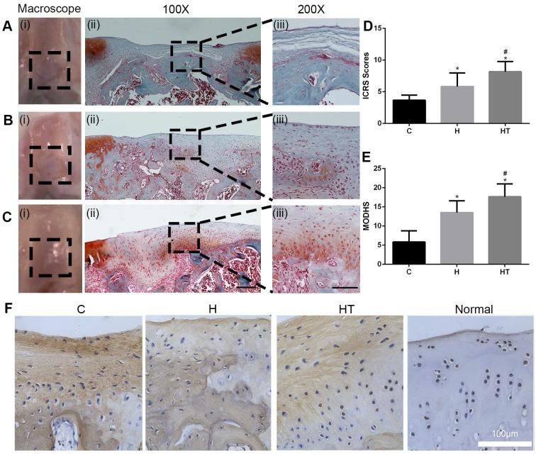 https://cdn.ncbi.nlm.nih.gov/pmc/blobs/2f9b/7052899/d3e4812f46db/thnov10p2872g009.jpg