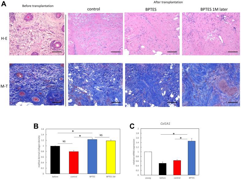 https://cdn.ncbi.nlm.nih.gov/pmc/blobs/2f9e/9740363/44e6bfdd3f3d/aging-14-204391-g006.jpg