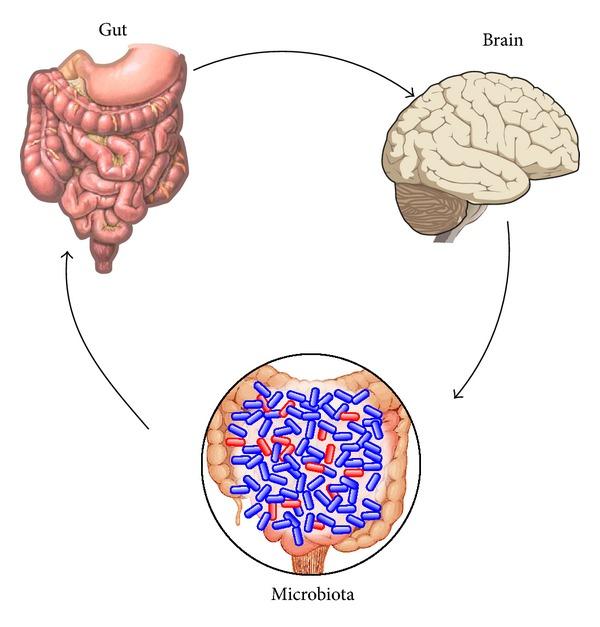 https://cdn.ncbi.nlm.nih.gov/pmc/blobs/2fa0/4036413/7f6e667a8f6e/AD2014-152428.005.jpg