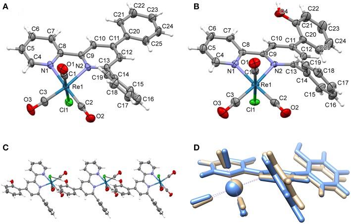 https://cdn.ncbi.nlm.nih.gov/pmc/blobs/2fa0/6561311/1bc554fef111/fchem-07-00417-g0001.jpg