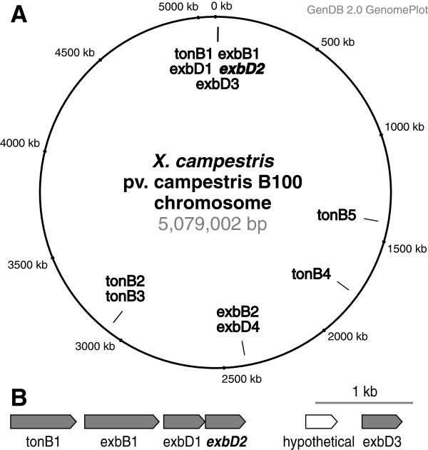 https://cdn.ncbi.nlm.nih.gov/pmc/blobs/2fa1/3551730/871ad488f060/1471-2180-12-239-1.jpg