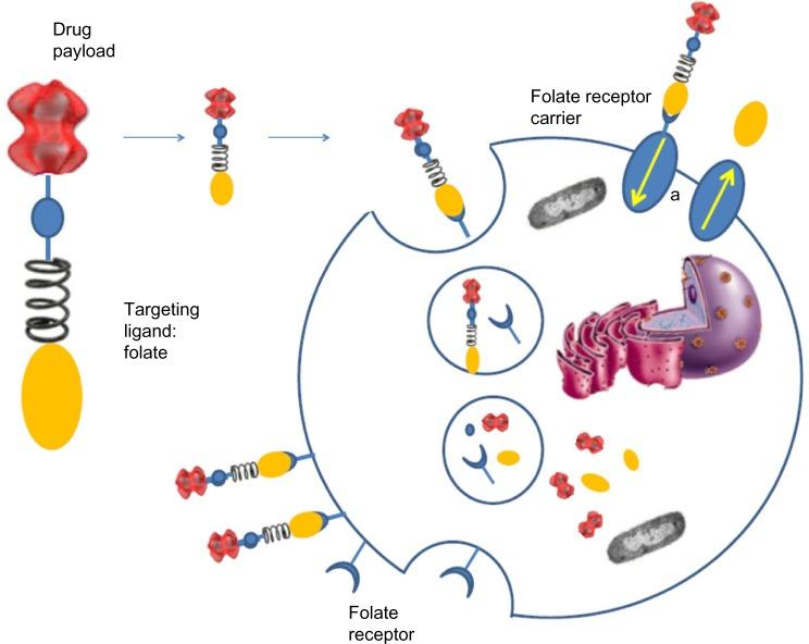 https://cdn.ncbi.nlm.nih.gov/pmc/blobs/2fa2/4096491/d59d679a68db/ott-7-1223Fig2.jpg