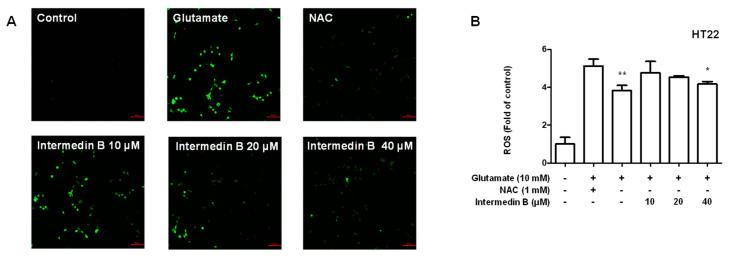 https://cdn.ncbi.nlm.nih.gov/pmc/blobs/2fa3/10138482/365c36275412/ijms-24-07390-g009.jpg