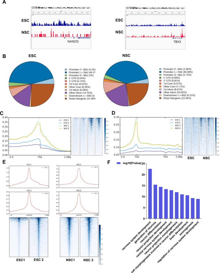 https://cdn.ncbi.nlm.nih.gov/pmc/blobs/2fa3/10201662/7dcffcbd6b28/figs5.jpg