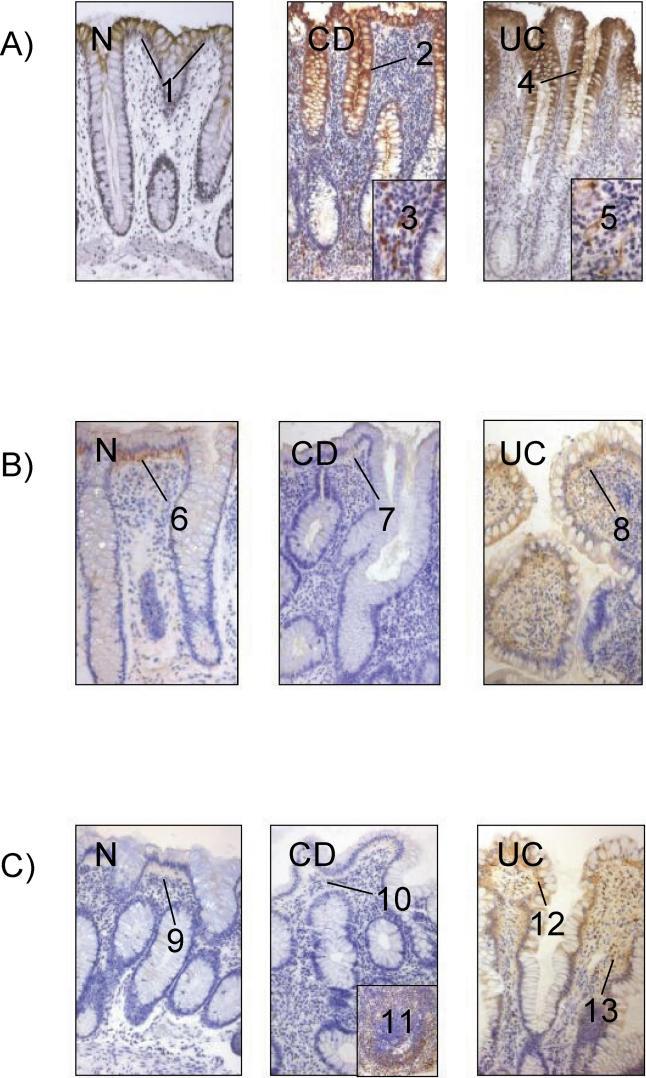 https://cdn.ncbi.nlm.nih.gov/pmc/blobs/2fa5/1196465/5111116f24a7/pmed.0020199.g004.jpg