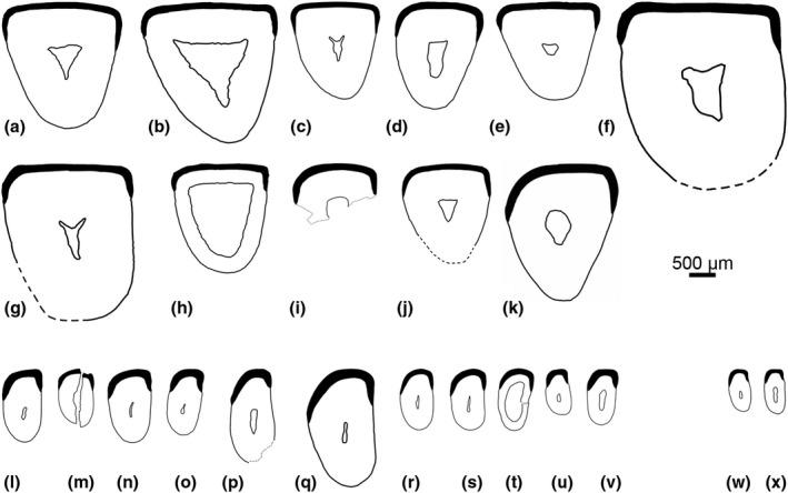 https://cdn.ncbi.nlm.nih.gov/pmc/blobs/2fa8/8293781/c1e721f08383/ECE3-11-9447-g005.jpg