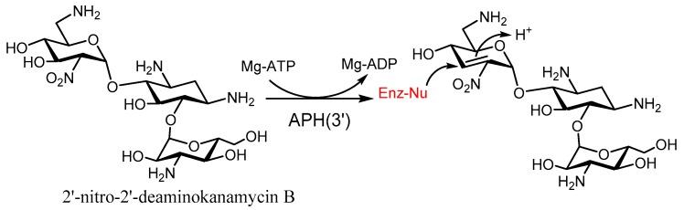 https://cdn.ncbi.nlm.nih.gov/pmc/blobs/2faa/6017855/015226d70359/molecules-23-00284-g012.jpg