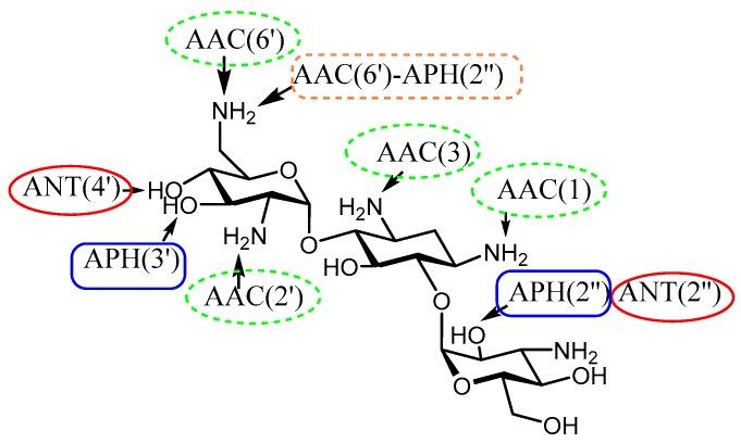 https://cdn.ncbi.nlm.nih.gov/pmc/blobs/2faa/6017855/101e6eb3e7b9/molecules-23-00284-g001.jpg