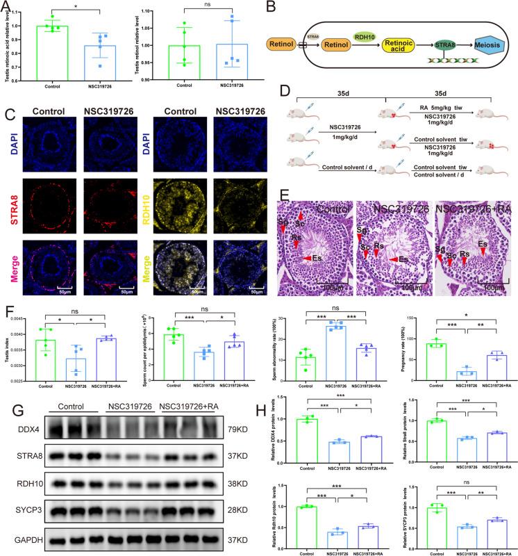 https://cdn.ncbi.nlm.nih.gov/pmc/blobs/2fab/11062974/0d009442fae2/10565_2024_9857_Fig5_HTML.jpg