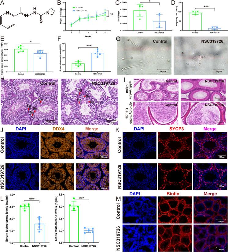 https://cdn.ncbi.nlm.nih.gov/pmc/blobs/2fab/11062974/787f3464afa7/10565_2024_9857_Fig1_HTML.jpg