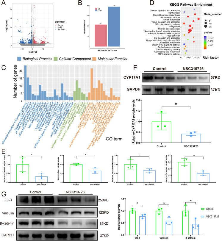 https://cdn.ncbi.nlm.nih.gov/pmc/blobs/2fab/11062974/a354ea6a46c9/10565_2024_9857_Fig3_HTML.jpg