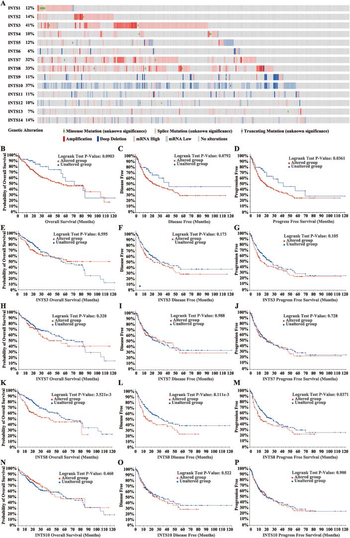 https://cdn.ncbi.nlm.nih.gov/pmc/blobs/2fab/11076979/a2f04046f665/gr6.jpg