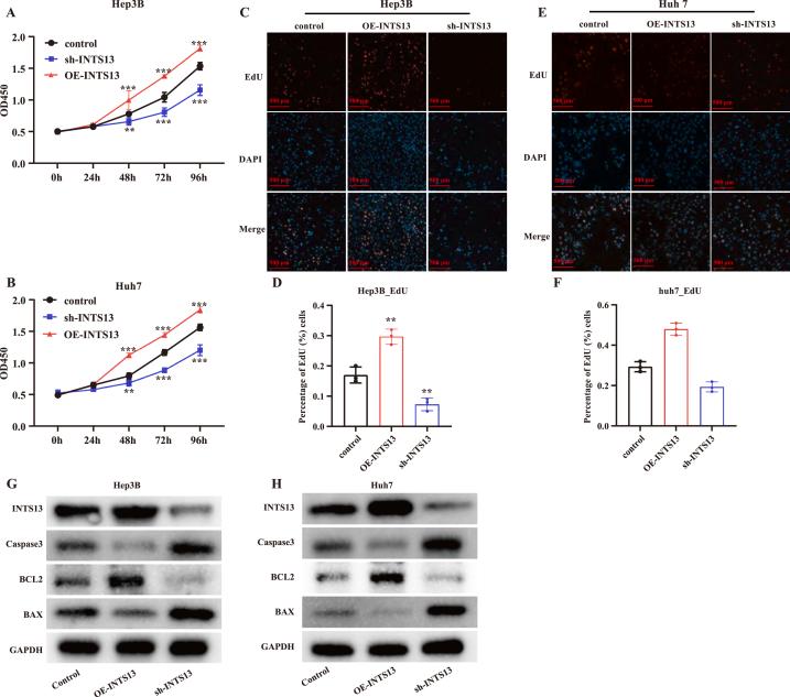 https://cdn.ncbi.nlm.nih.gov/pmc/blobs/2fab/11076979/f676a9ea4755/gr7.jpg