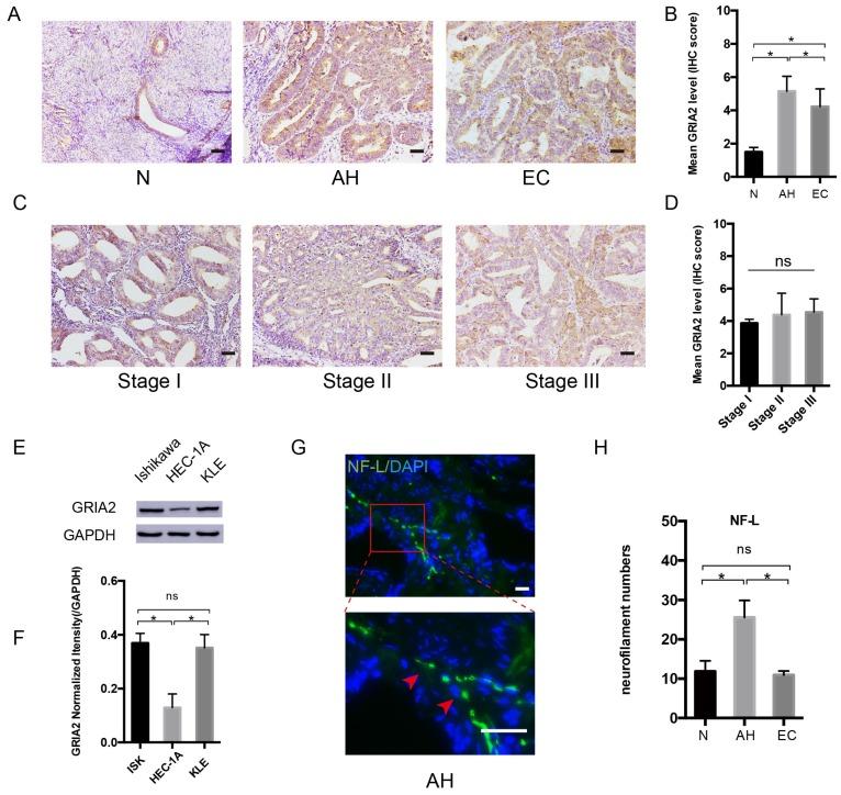 https://cdn.ncbi.nlm.nih.gov/pmc/blobs/2fab/7066017/8949ec54fdb1/jcav11p2518g003.jpg