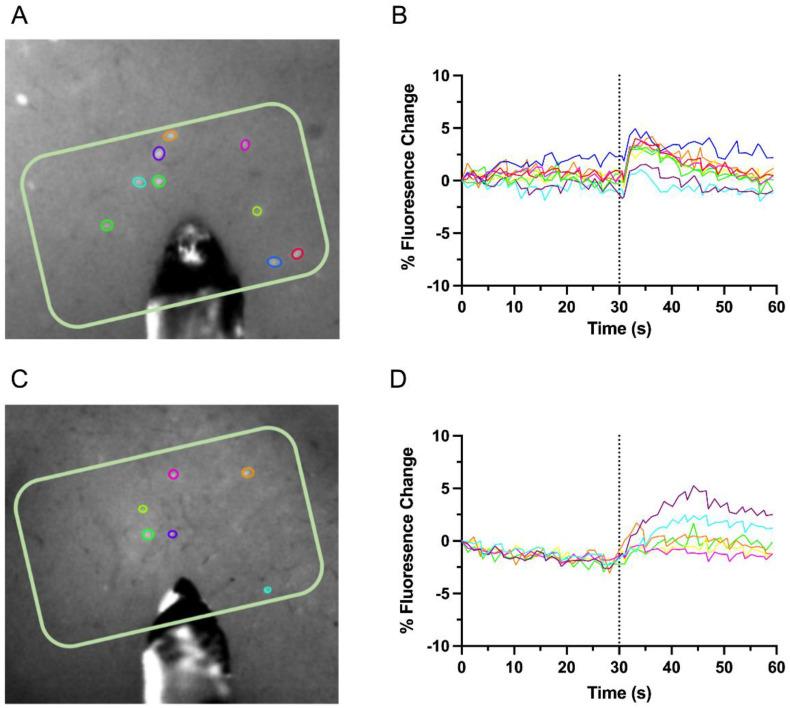 https://cdn.ncbi.nlm.nih.gov/pmc/blobs/2fab/9221547/53b77ab8ab66/biosensors-12-00383-g002.jpg