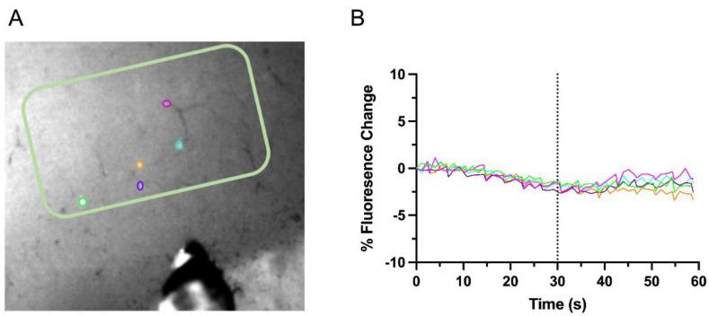 https://cdn.ncbi.nlm.nih.gov/pmc/blobs/2fab/9221547/800ffdc3f93e/biosensors-12-00383-g004.jpg