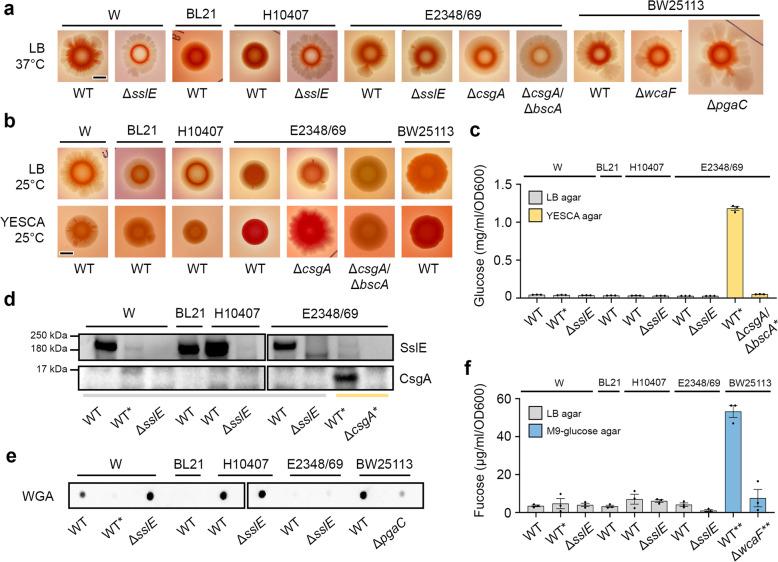 https://cdn.ncbi.nlm.nih.gov/pmc/blobs/2fac/8881592/a996f29dc56b/41522_2022_272_Fig6_HTML.jpg