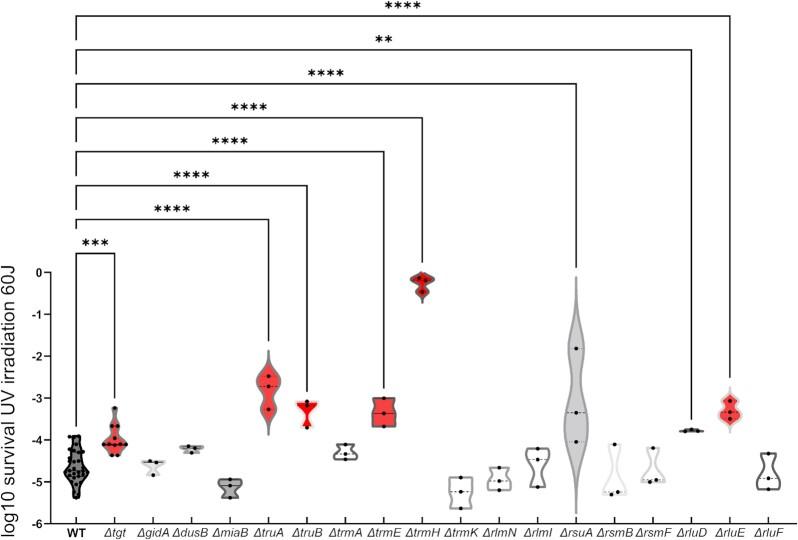 https://cdn.ncbi.nlm.nih.gov/pmc/blobs/2fae/10117853/217d88fe16b1/uqac019fig6.jpg