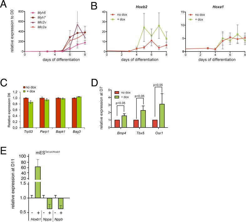https://cdn.ncbi.nlm.nih.gov/pmc/blobs/2faf/7462617/145250b2441a/elife-55124-fig7-figsupp1.jpg