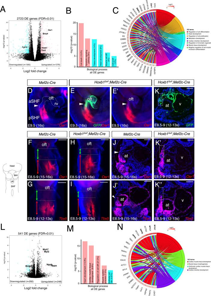 https://cdn.ncbi.nlm.nih.gov/pmc/blobs/2faf/7462617/deb08f9bd97b/elife-55124-fig5.jpg