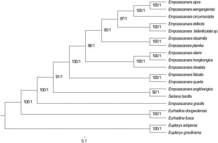https://cdn.ncbi.nlm.nih.gov/pmc/blobs/2fb0/11007260/e01fb4a6fe5d/ECE3-14-e11264-g008.jpg
