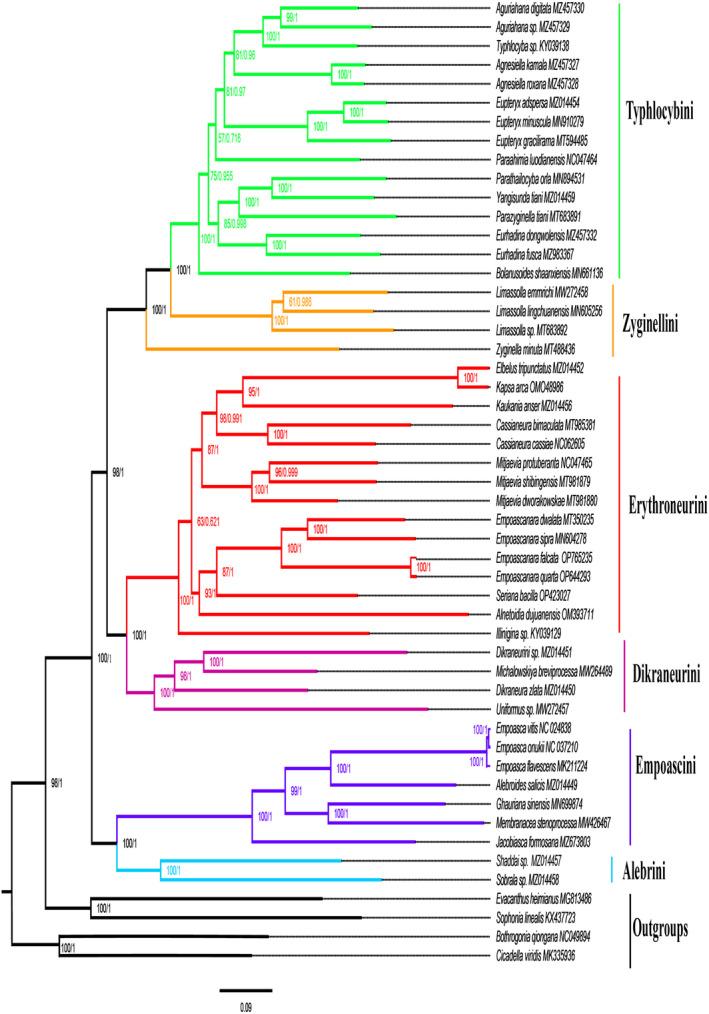 https://cdn.ncbi.nlm.nih.gov/pmc/blobs/2fb0/11007260/ed0f8abdfb7c/ECE3-14-e11264-g007.jpg
