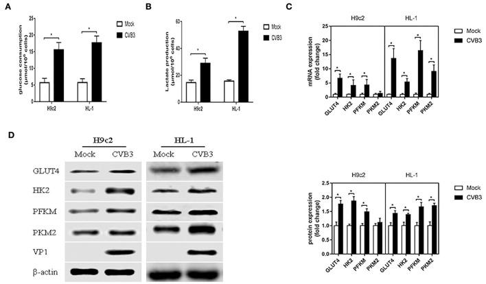 https://cdn.ncbi.nlm.nih.gov/pmc/blobs/2fb2/9780277/883d060e652e/fmicb-13-962766-g0001.jpg