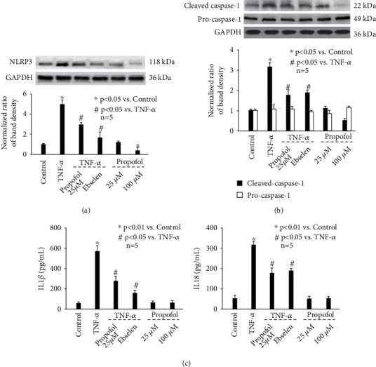 https://cdn.ncbi.nlm.nih.gov/pmc/blobs/2fb5/9391138/366b87469834/OMCL2022-8661200.003.jpg
