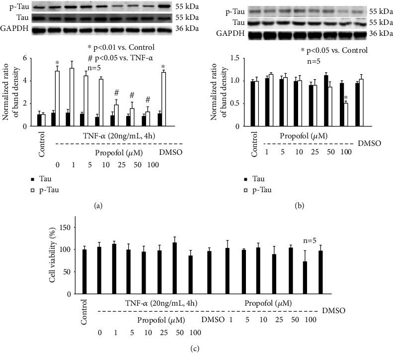 https://cdn.ncbi.nlm.nih.gov/pmc/blobs/2fb5/9391138/47b4dbccf387/OMCL2022-8661200.002.jpg