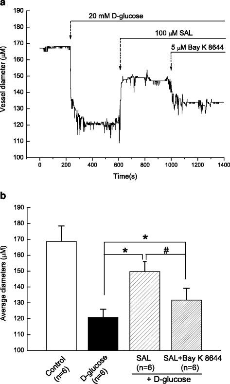 https://cdn.ncbi.nlm.nih.gov/pmc/blobs/2fb9/5405536/0d5ad5443ca1/40360_2017_135_Fig6_HTML.jpg