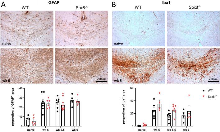 https://cdn.ncbi.nlm.nih.gov/pmc/blobs/2fba/10721603/9810e30479e4/41598_2023_49476_Fig4_HTML.jpg