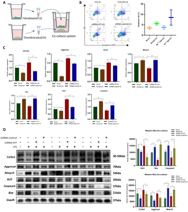 https://cdn.ncbi.nlm.nih.gov/pmc/blobs/2fba/11921700/3720f014a2fa/13018_2025_5557_Fig10_HTML.jpg