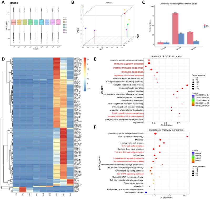 https://cdn.ncbi.nlm.nih.gov/pmc/blobs/2fba/11921700/41efc7789983/13018_2025_5557_Fig2_HTML.jpg