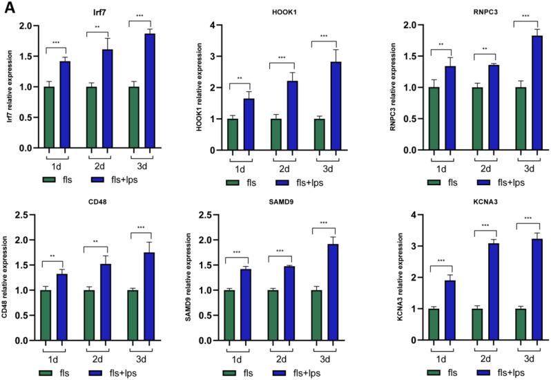https://cdn.ncbi.nlm.nih.gov/pmc/blobs/2fba/11921700/480df4580589/13018_2025_5557_Fig4_HTML.jpg