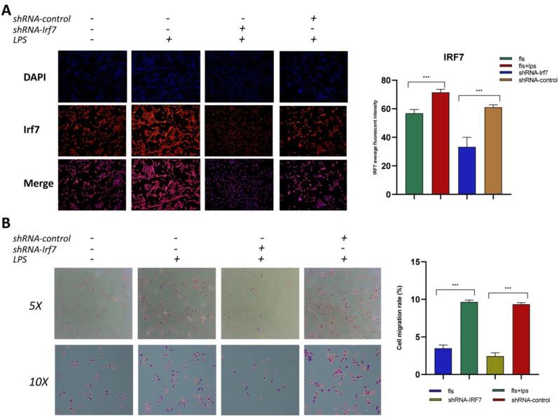 https://cdn.ncbi.nlm.nih.gov/pmc/blobs/2fba/11921700/4c953354bb0b/13018_2025_5557_Fig6_HTML.jpg