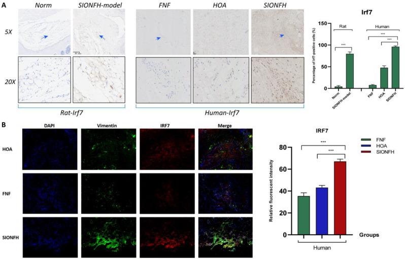 https://cdn.ncbi.nlm.nih.gov/pmc/blobs/2fba/11921700/c2829d835e57/13018_2025_5557_Fig8_HTML.jpg