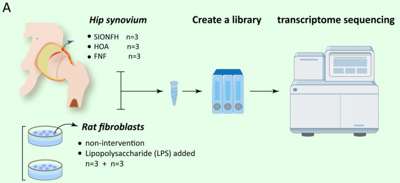 https://cdn.ncbi.nlm.nih.gov/pmc/blobs/2fba/11921700/d007f2454371/13018_2025_5557_Fig1_HTML.jpg
