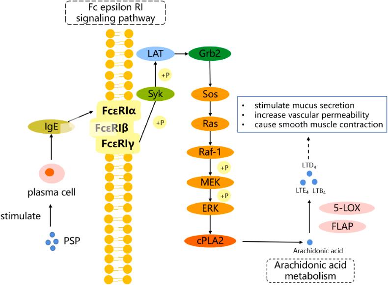 https://cdn.ncbi.nlm.nih.gov/pmc/blobs/2fbb/9440268/ac478a2073e6/gr3.jpg