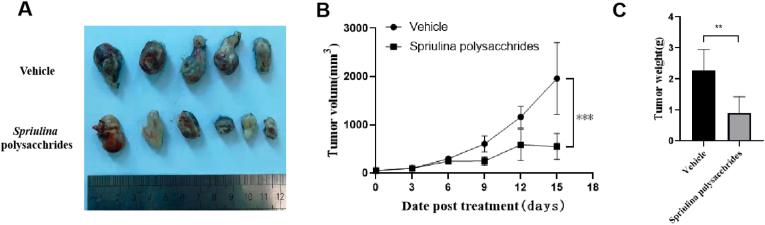 https://cdn.ncbi.nlm.nih.gov/pmc/blobs/2fbb/9440268/b3cfc3ef2f40/gr1.jpg
