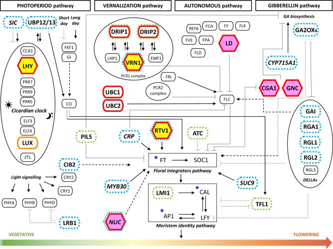 https://cdn.ncbi.nlm.nih.gov/pmc/blobs/2fbc/10076260/fb000f393ae6/41467_2023_37332_Fig5_HTML.jpg
