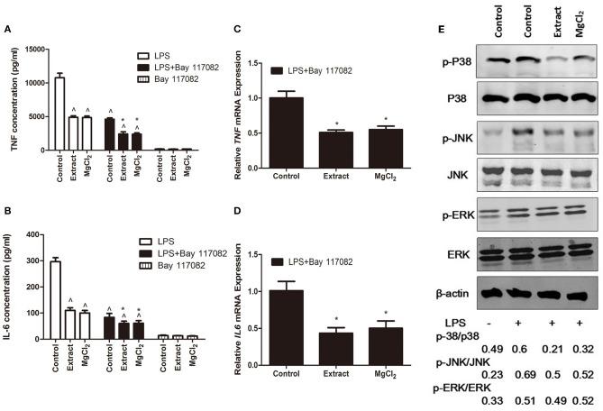 https://cdn.ncbi.nlm.nih.gov/pmc/blobs/2fbd/6902094/1e1776d8eb59/fimmu-10-02798-g0007.jpg