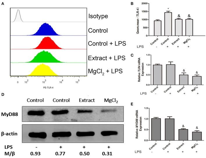 https://cdn.ncbi.nlm.nih.gov/pmc/blobs/2fbd/6902094/68052a39926e/fimmu-10-02798-g0005.jpg