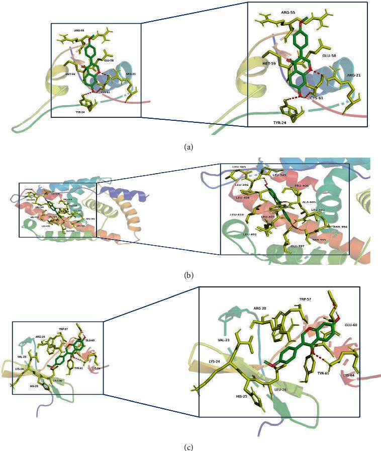 https://cdn.ncbi.nlm.nih.gov/pmc/blobs/2fbd/9033346/b065fe5452fc/ECAM2022-9942373.007.jpg