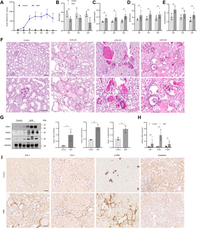 https://cdn.ncbi.nlm.nih.gov/pmc/blobs/2fc0/11339032/0e94e339194b/gr2.jpg