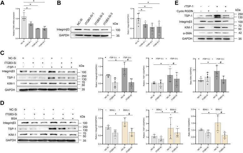 https://cdn.ncbi.nlm.nih.gov/pmc/blobs/2fc0/11339032/a15543bdc6f2/gr8.jpg