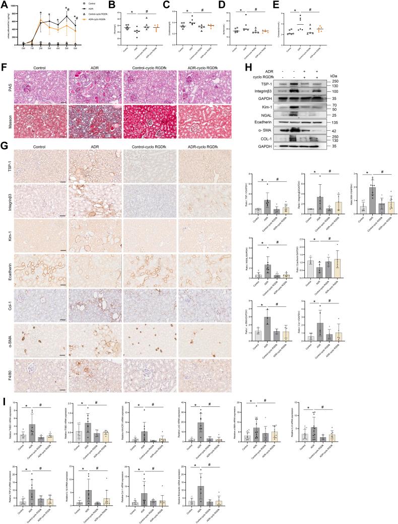 https://cdn.ncbi.nlm.nih.gov/pmc/blobs/2fc0/11339032/cf6247d3cf94/gr7.jpg