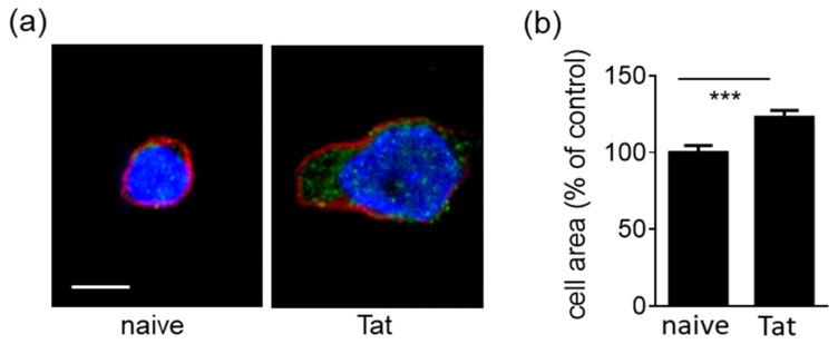 https://cdn.ncbi.nlm.nih.gov/pmc/blobs/2fc3/8705413/bcbafb1a2510/molecules-26-07488-g003.jpg
