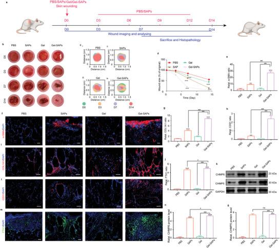 https://cdn.ncbi.nlm.nih.gov/pmc/blobs/2fc7/10477857/044174c20720/ADVS-10-2300414-g006.jpg